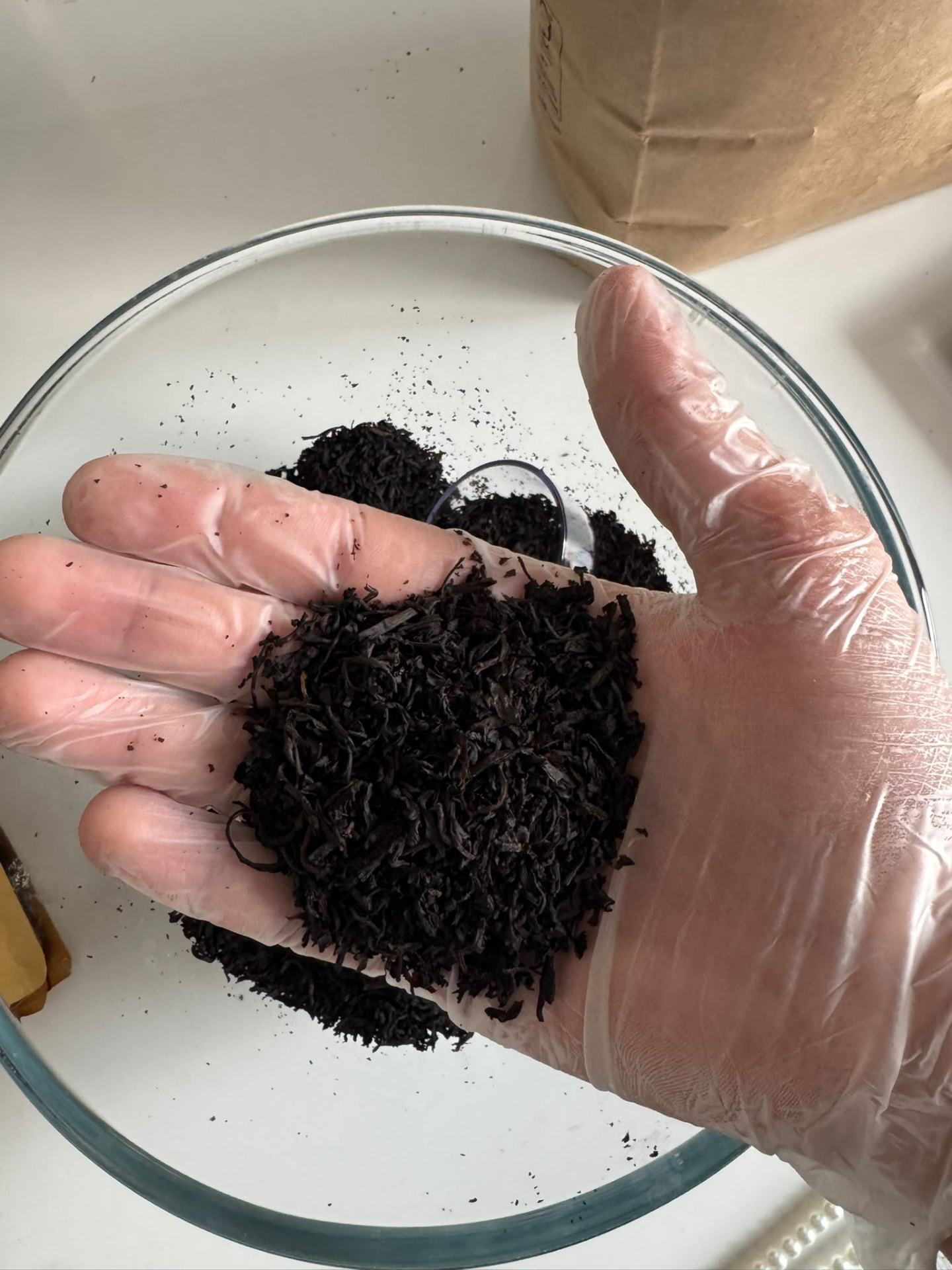 Loose Darwin black tea leaves held in a gloved hand over a glass bowl