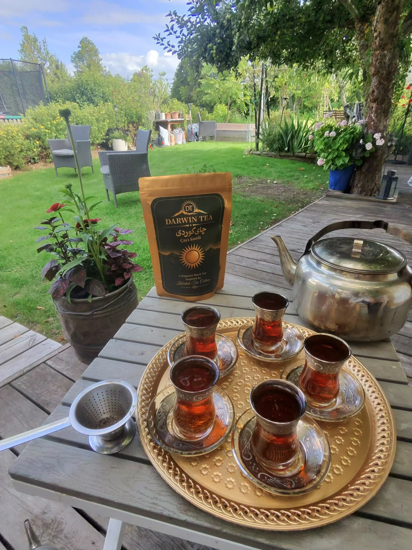 Darwin Tea served in tea glasses on a tray in a garden